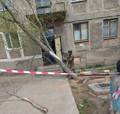 Разрушительные последствия сильного ветра в Карагандинской области