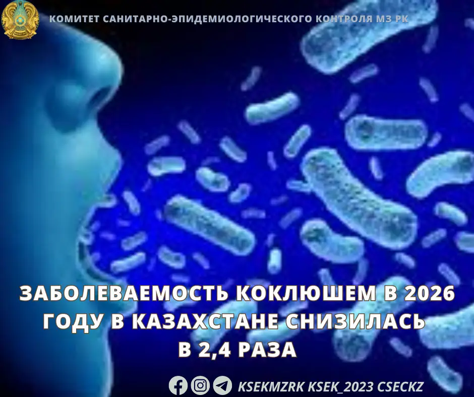 Снижение заболеваемости коклюшем в Казахстане в 2026 году