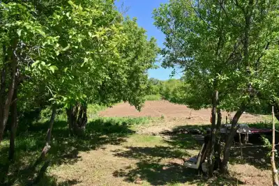 Аким области встретился с переселенцами в Урджарском районе (6)