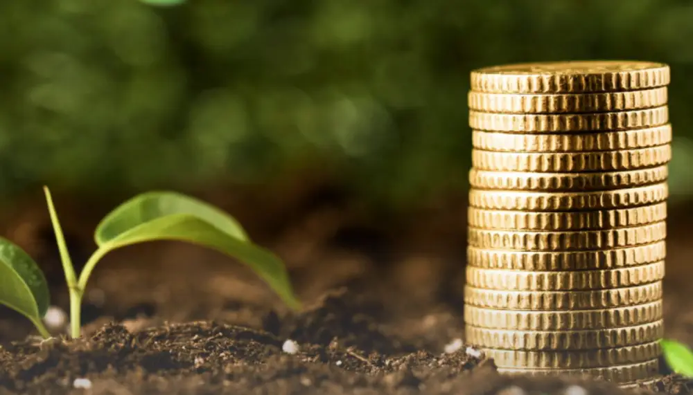 Kazakhstan's Food Corporation Boosts Forward Financing for Farmers to 29.5 Billion Tenge
