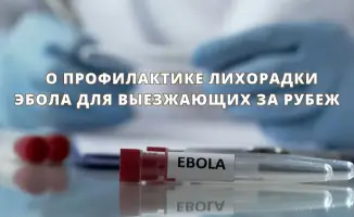 На грани риска: как избежать встречи с лихорадкой Эбола за пределами родины