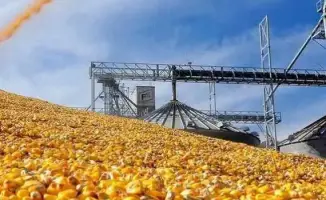 Запуск завода глубокой переработки кукурузы в Туркестанской области: новый импульс для экономики региона