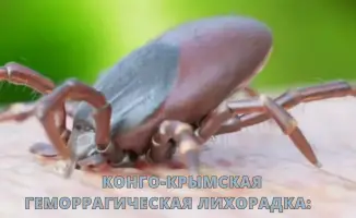 Социальные риски Конго-Крымской геморрагической лихорадки: меры предосторожности для защиты населения
