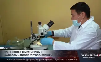 Укус клеща привел к 326 случаям обращения за медицинской помощью: возможные последствия для здоровья под угрозой