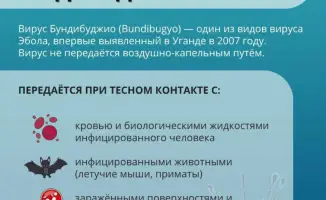 Эбола: советы для поездок в Конго и Уганду