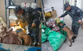 Служебные собаки помогают в борьбе с наркотиками в Абае