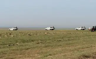 Химическая обработка земель в Туркестанской области: борьба с саранчой на площади 275 тысяч гектаров