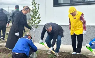 Eco-Initiative in Kazakhstan: Capital City Pensioners Plant Trees for a Greener Future