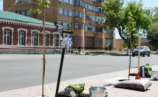 Озеленение Павлодара: значительное обновление зеленого фонда и его влияние на экосистему города