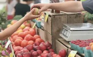 Ужесточение контроля цен на продукты: возможные последствия для рынка и потребителей