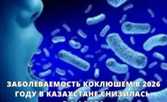 Снижение заболеваемости коклюшем в Казахстане в 2026 году