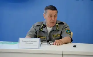 Усиленные меры по охране лесов в ВКО: предотвращение последствий пожаров