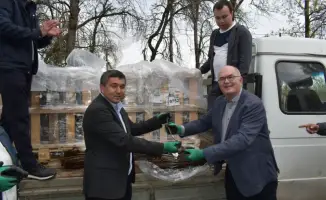 Нидерландские яблоневые подвои: новый шаг к аграрной революции в Казахстане