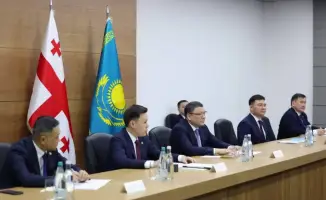 МВД Казахстана и Грузии усиливают сотрудничество в области безопасности и борьбы с кибермошенничеством