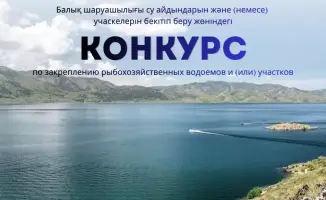 Конкурс по закреплению резервных участков озера Алаколь: возможности для местного сообщества