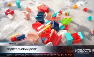 Шымкент: алименты на сумму 340 миллионов тенге возвращены!