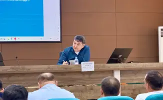 Мониторинг марокканской саранчи в Туркестанской области