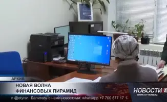 Финансовые пирамиды: как маскировка под инвестиции влияет на доверие общества к финансовым рынкам