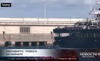 Хантавирус на круизном судне: вспышка заболевания затронула несколько стран, подтверждены случаи заражения у пассажиров