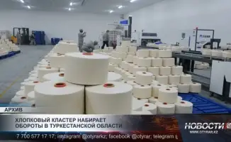 Хлопковый кластер в Туркестанской области: новые возможности для местного населения и устойчивое развитие региона