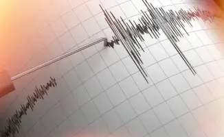 Землетрясения магнитудой 4,8 и 4,5 в приграничном районе Казахстана, Кыргызстана и Китая
