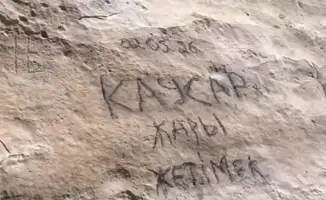 Президент Казахстана поднимает вопрос о вандализме, подчеркивая важность культуры и искусства в обществе