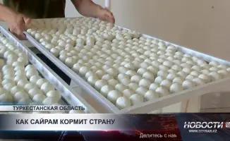 Сайрамский район: индустриальный центр Туркестанской области и его влияние на социальное развитие региона