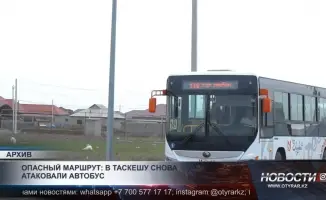 Подростки в Таскешу повреждают автобус: перевозчики угрожают остановкой международного маршрута
