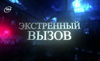 Вихрь противостояния: попытка задержания призывника всполошила соцсети