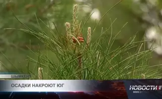 Жара до +30 в Шымкенте сменится дождями и грозами уже к концу недели.