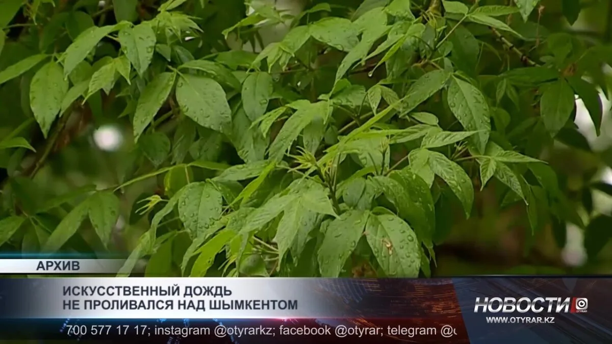 Шымкент: неожиданные дожди не имеют отношения к искусственному дождю