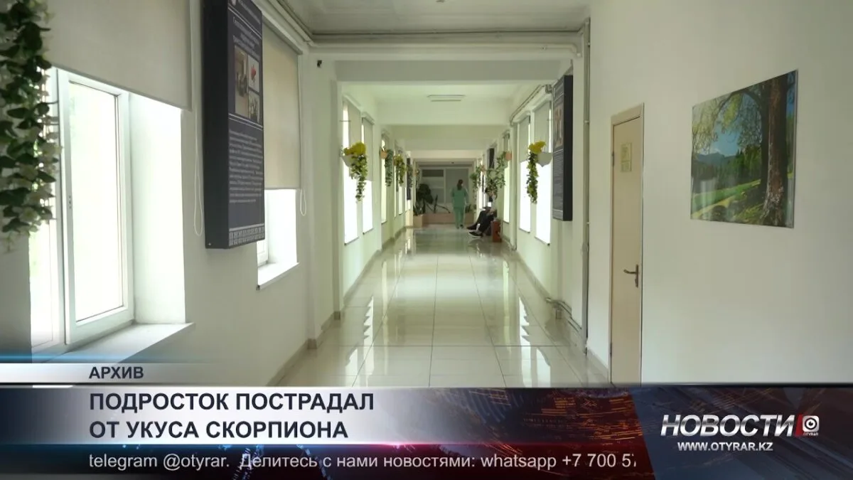 Скорпион в тени: подросток в Шымкенте столкнулся с ядовитым врагом и оказался в больнице