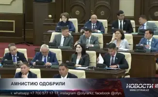Амнистия открывает дорогу к социальной реабилитации и снижению преступности в обществе