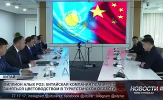 Китайская компания запускает проект по цветоводству в Туркестанской области: новые горизонты агробизнеса