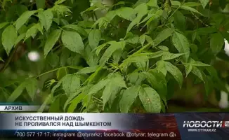 Шымкент: неожиданные дожди не имеют отношения к искусственному дождю