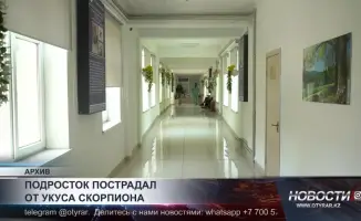 Скорпион в тени: подросток в Шымкенте столкнулся с ядовитым врагом и оказался в больнице