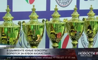 Шымкент принимает юных чемпионов: борьба за кубок Казахстана в боксе