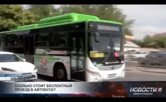 Стоимость бесплатного проезда для 'зайцев': анализ расходов и последствий