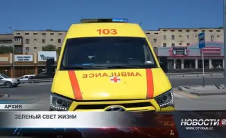 Социальные изменения и устойчивое развитие: влияние 'Зеленого света жизни' на общественное сознание