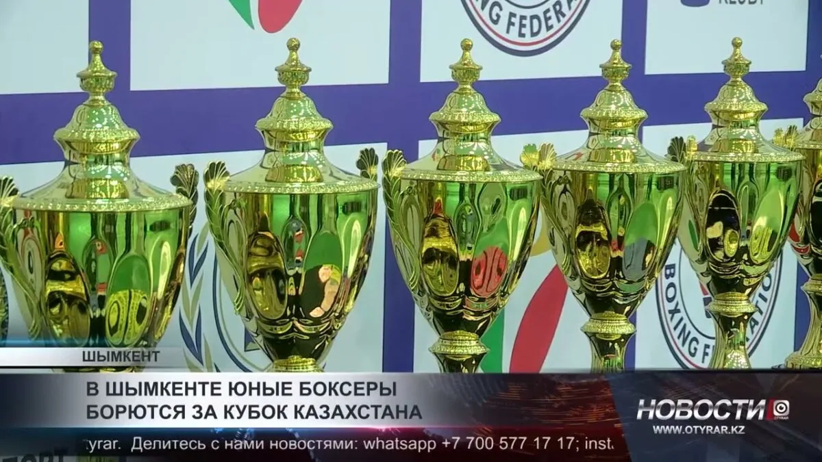 Шымкент принимает юных чемпионов: борьба за кубок Казахстана в боксе