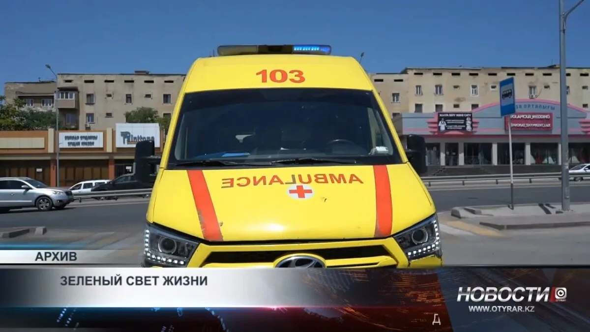 Социальные изменения и устойчивое развитие: влияние 'Зеленого света жизни' на общественное сознание
