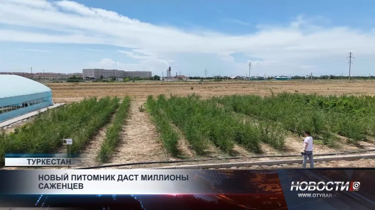 Озеленение в Туркестанской области: новый шаг к улучшению качества жизни и экологии региона