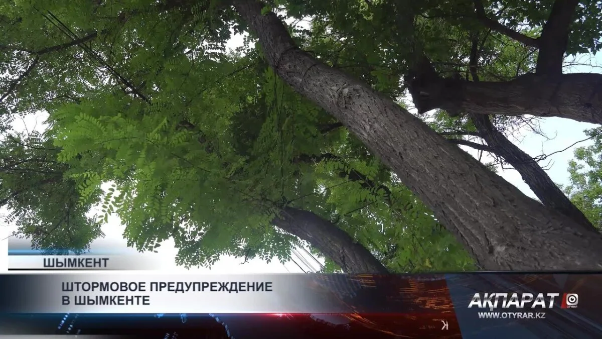 Шымкент готовится к сильным штормам
