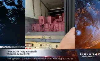 Контрафактные сигареты: угроза здоровью населения Шымкента и Туркестанской области