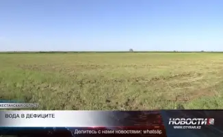 Сокращение посевов влаголюбивых культур в Туркестанской области: угроза продовольственной безопасности и экономическим потерям региона
