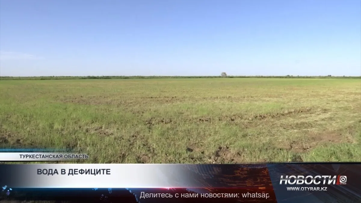 Сокращение посевов влаголюбивых культур в Туркестанской области: угроза продовольственной безопасности и экономическим потерям региона