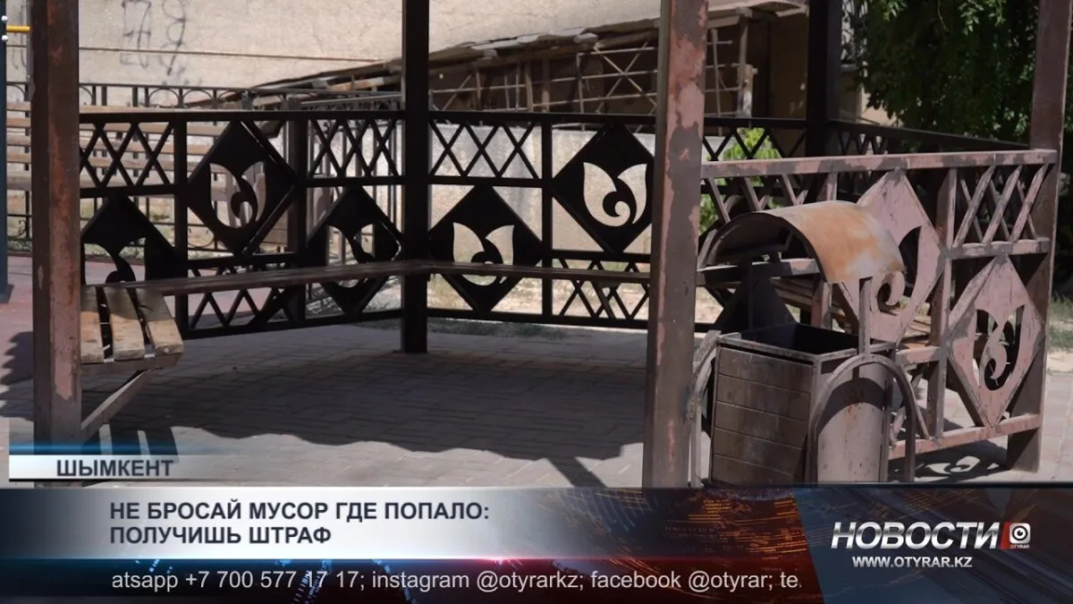 Штрафы за выброс мусора: как общественные меры влияют на чистоту городов