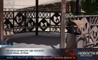 Штрафы за выброс мусора: как общественные меры влияют на чистоту городов