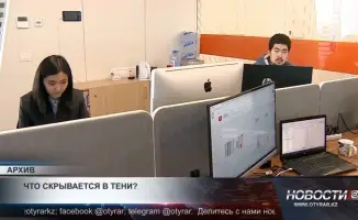 Теневая экономика Казахстана: Постепенный выход из тени