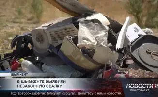 В Шымкенте обнаружена незаконная свалка: угроза экологии и здоровья граждан